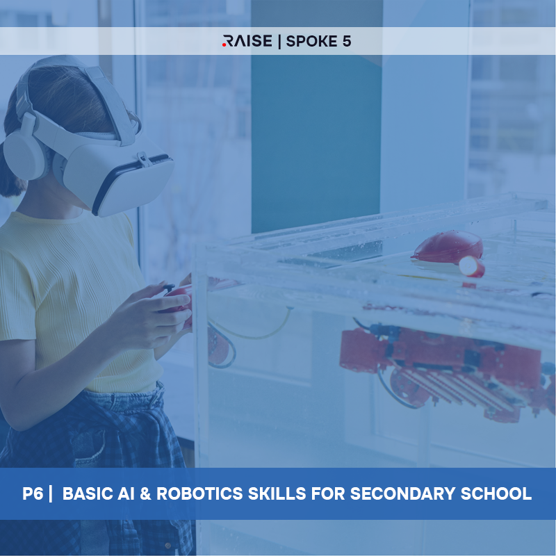 P6 - BASIC AI & ROBOTICS SKILLS FOR SECONDARY SCHOOL