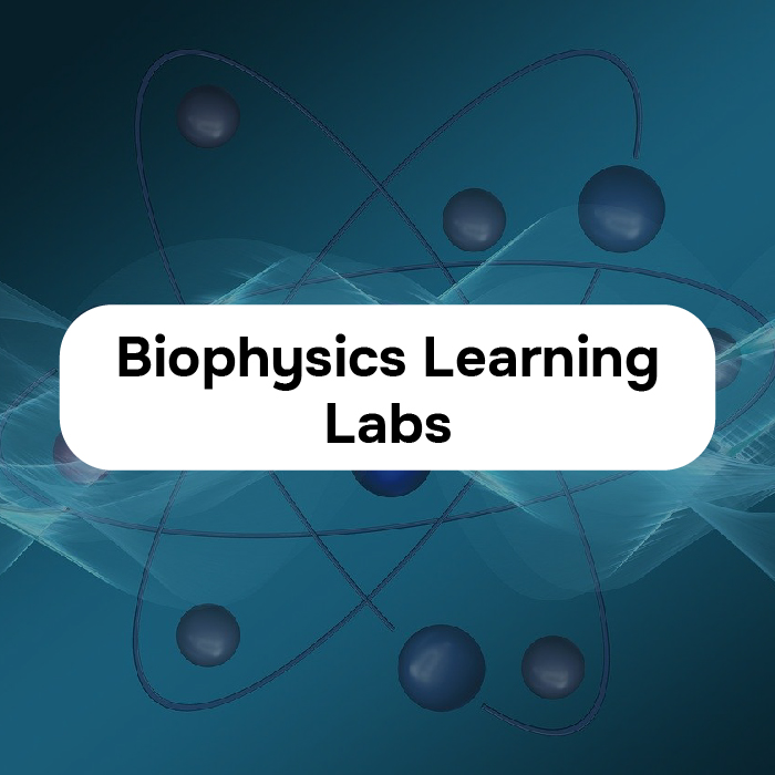 logo dell'iniziativa Biophysics Learning Labs